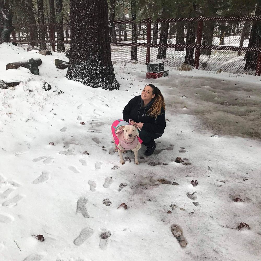 Meet your Posher, Le